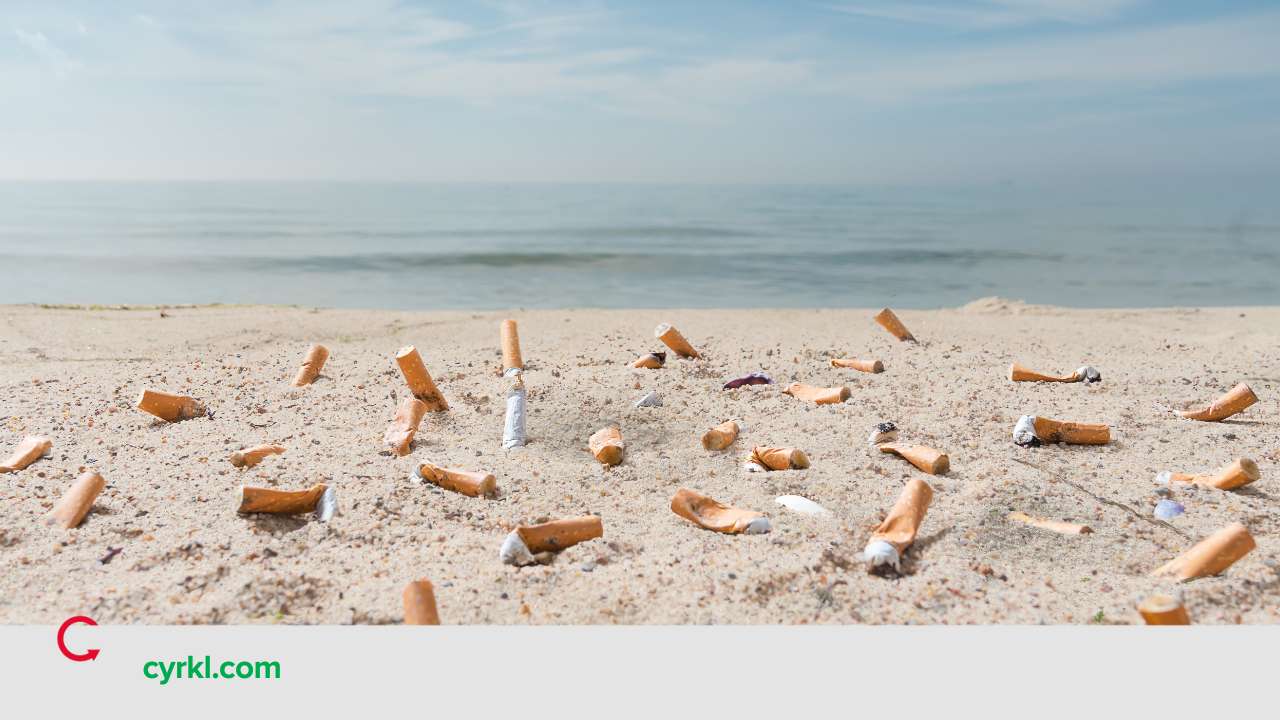 Blog Cigarette filters recycling (2).jpg